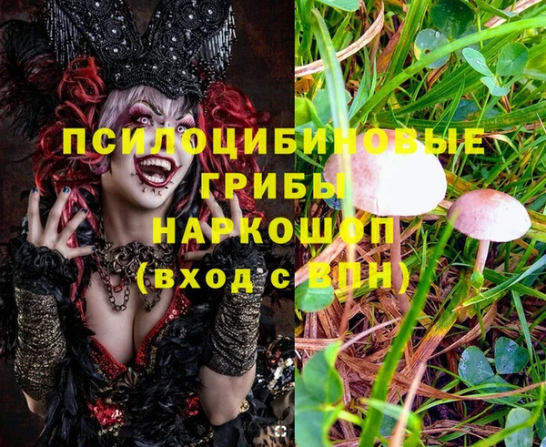 мдпв Наволоки