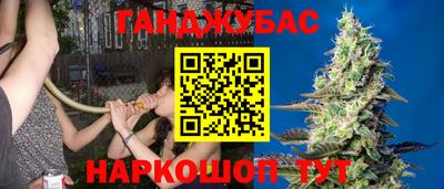 дмт Заводоуковск