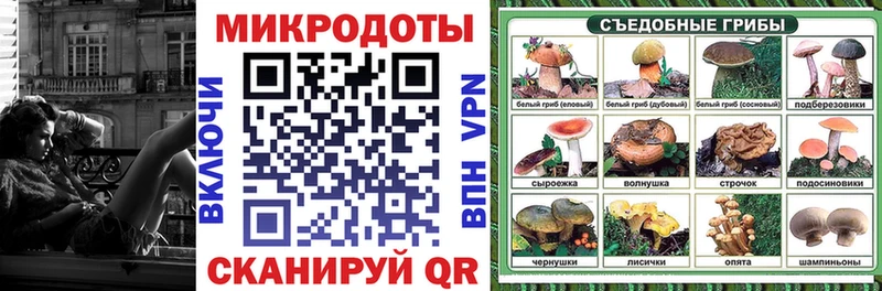 купить наркотики сайты  Татарск  Псилоцибиновые грибы Psilocybe 