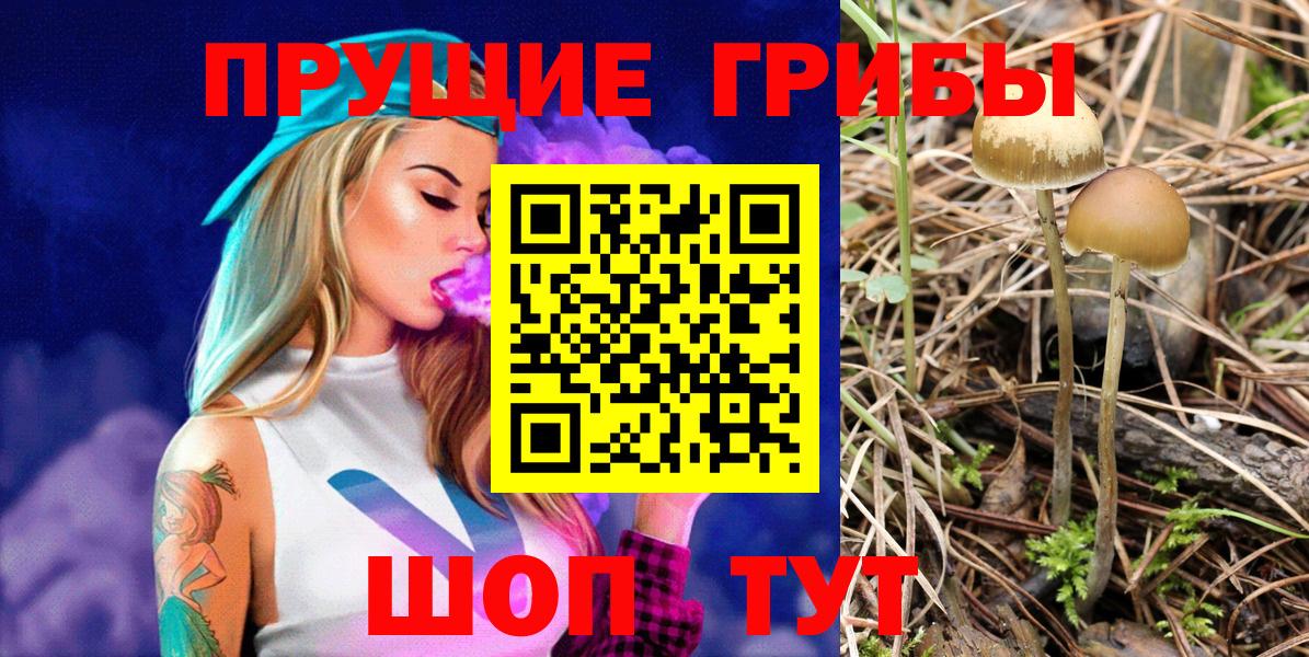 Псилоцибиновые грибы мицелий Татарск