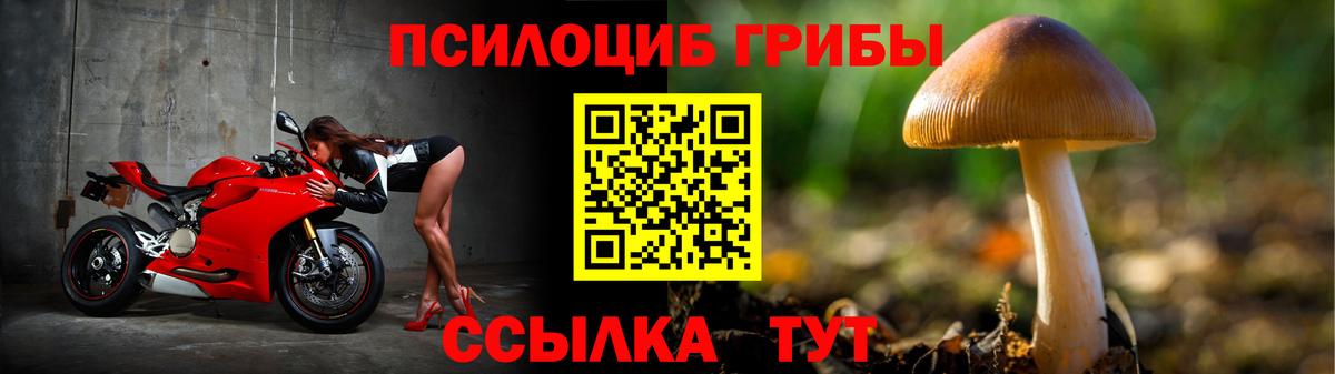 Псилоцибиновые грибы ЛСД  Галлюциногенные грибы Psilocybe  как найти закладки  Татарск  Вход с VPN 